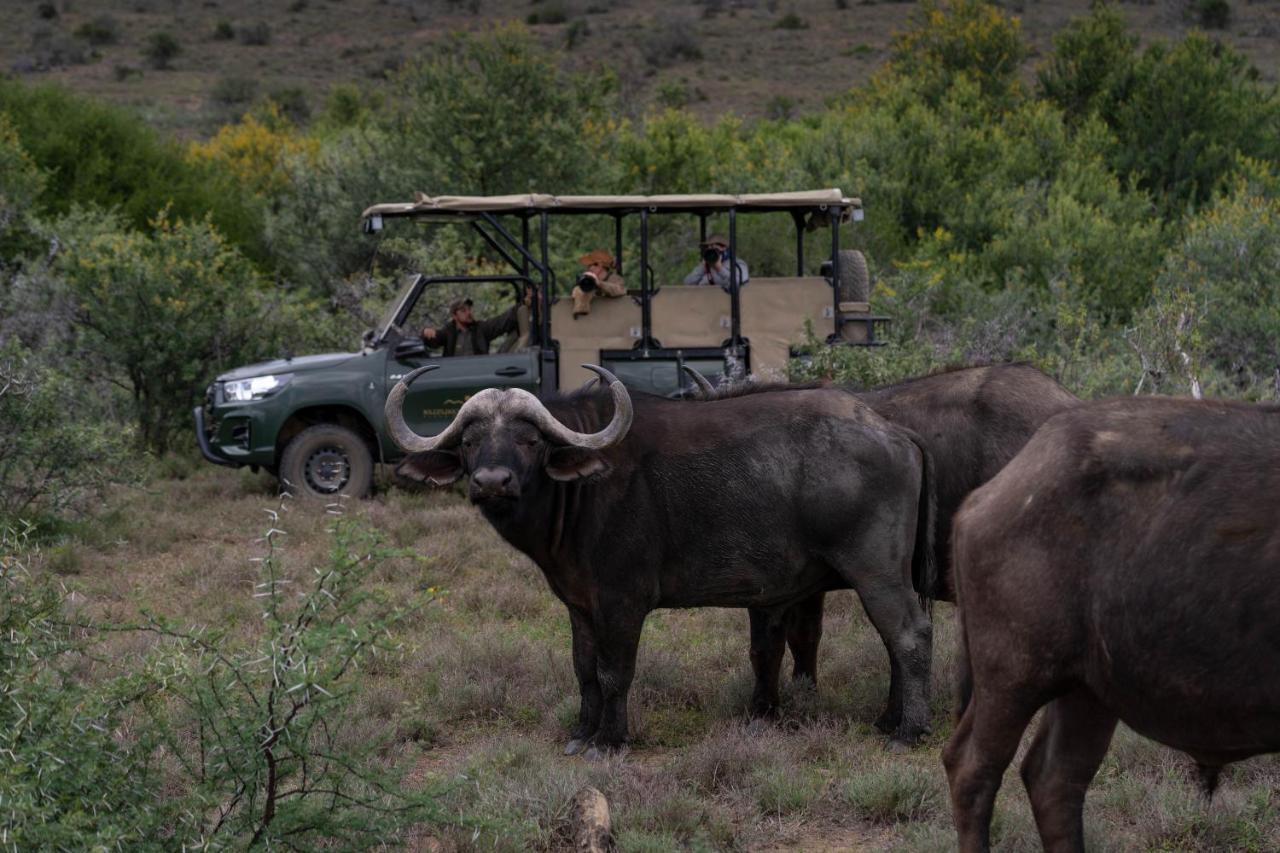 Kuzuko Lodge Addo Bagian luar foto
