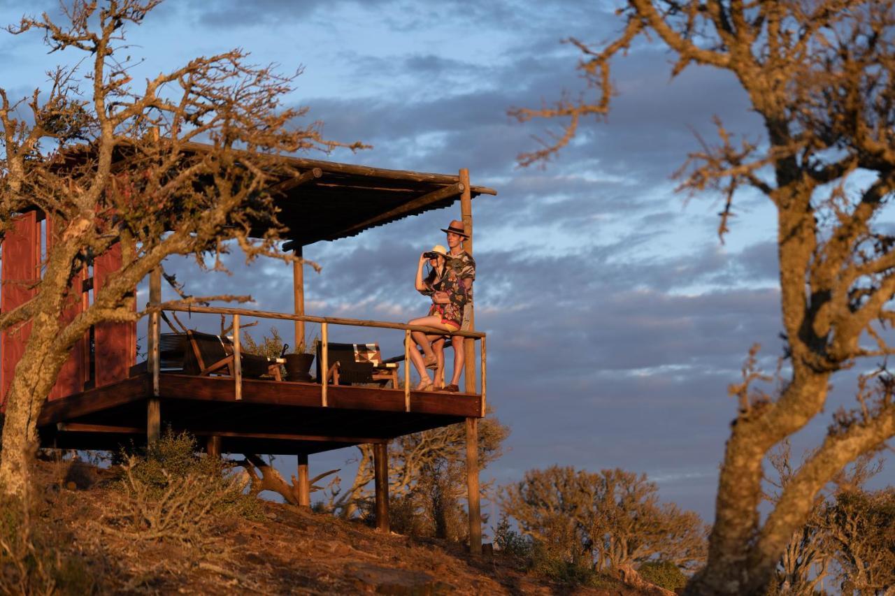 Kuzuko Lodge Addo Bagian luar foto