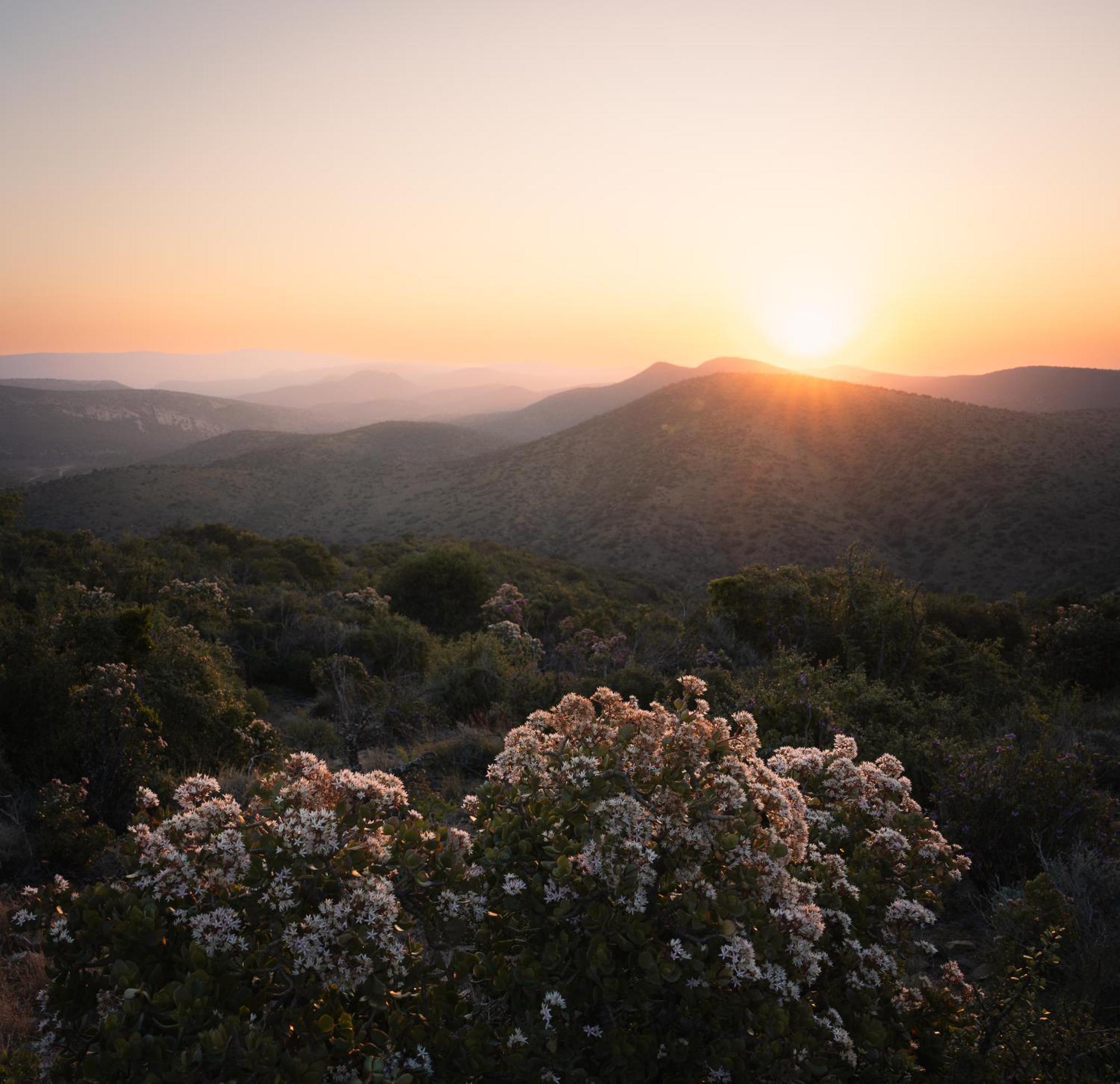 Kuzuko Lodge Addo Bagian luar foto