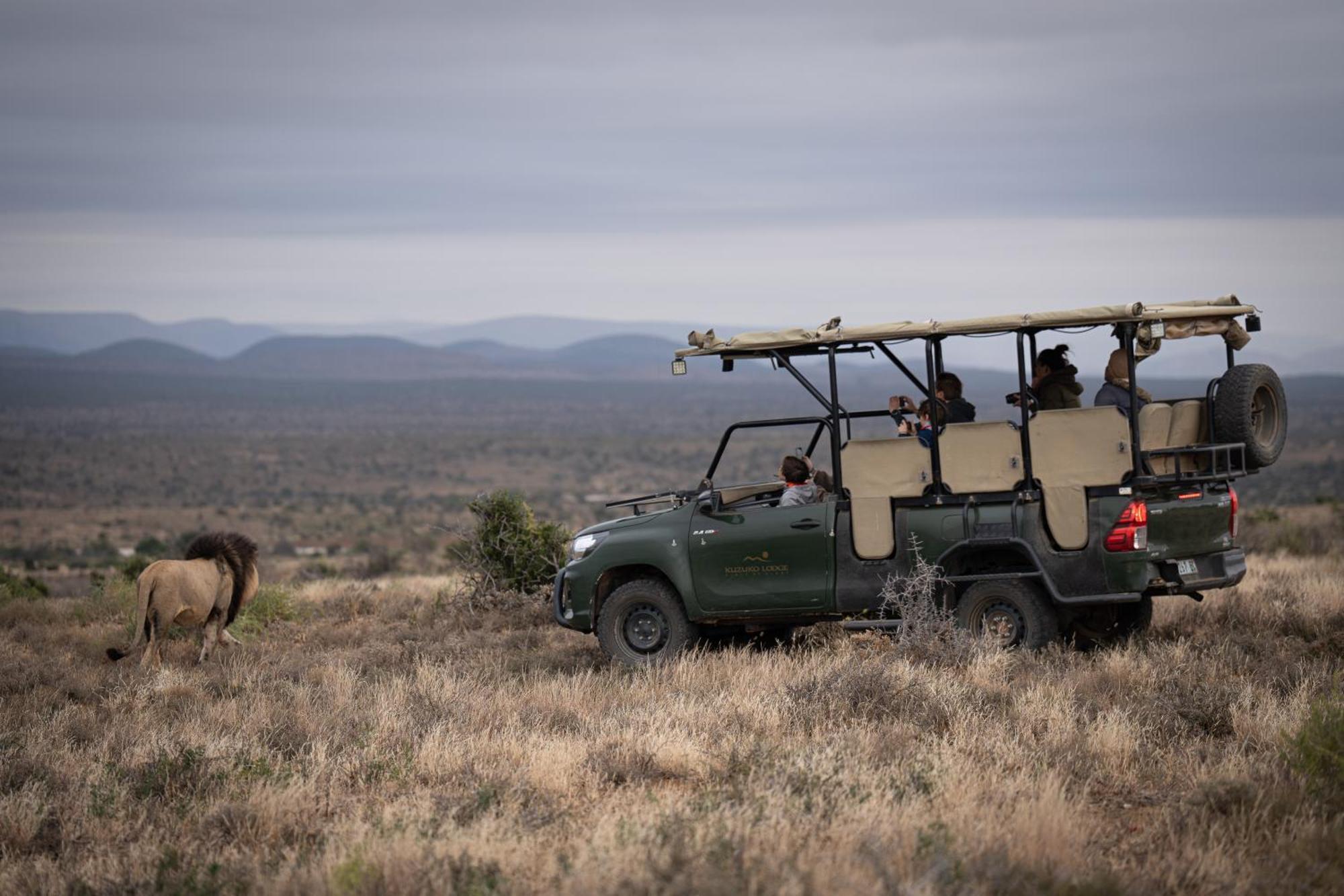 Kuzuko Lodge Addo Bagian luar foto